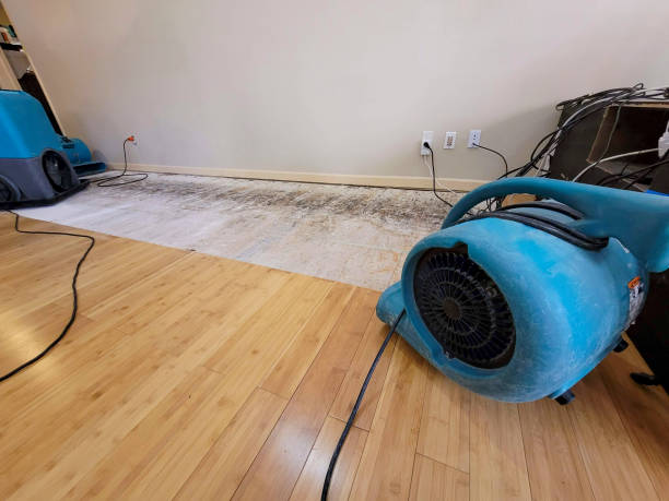 Professional Water Removal technician working in Pinewood, SC